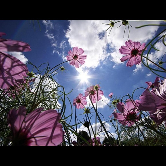 Meet your Posher, Julie - Picture 5 of 7